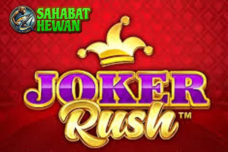 Joker Rush Jangan Kaget Kalo Lo 80 Kesengsem!