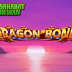 Dragon Bond Mencari Tahu Dalam Slot777
