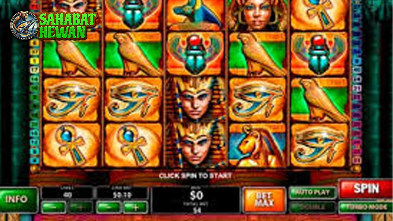 Cat Queen Lagi Ngetren Situs Toto Spesial 06!