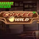 Ngobrol Santai Soal Coffee Wild 6 Kekinian Banget