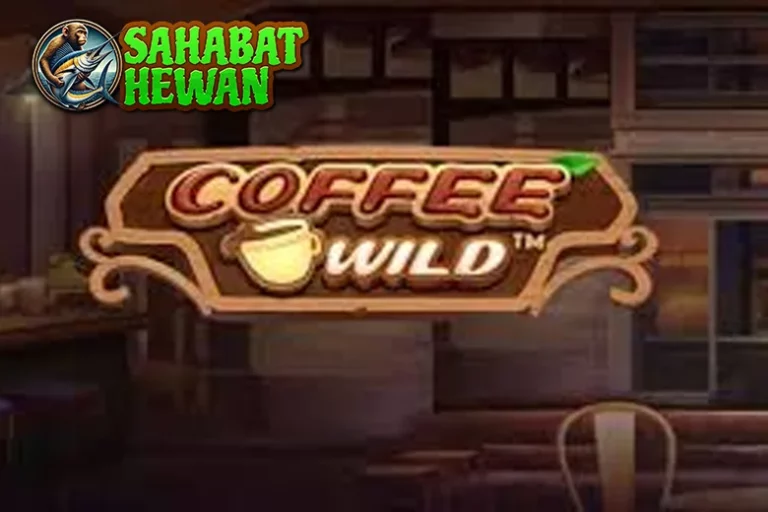 Ngobrol Santai Soal Coffee Wild 6 Kekinian Banget