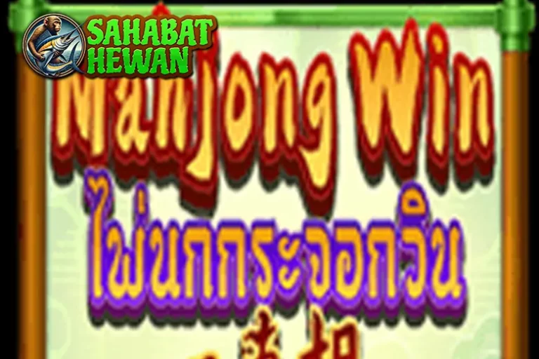 Mahjong Win Asah Otak, Test 20 Katong Pung Tajam