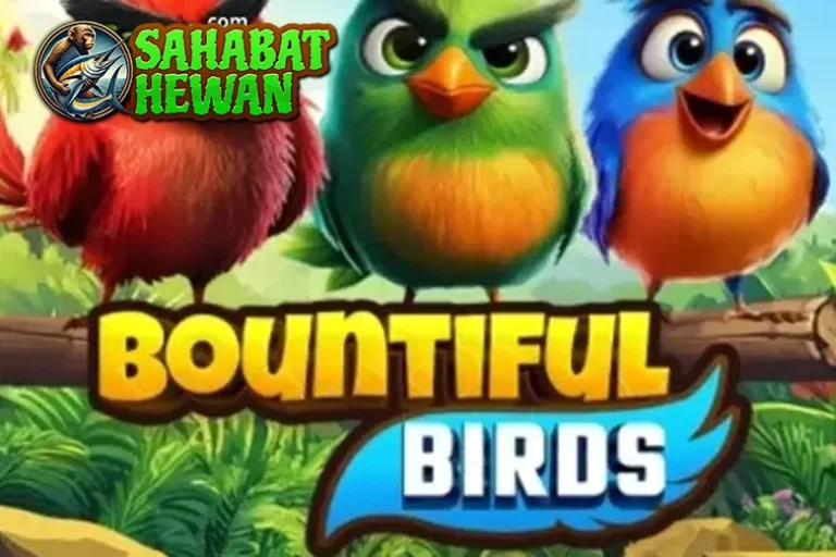 Bountiful Birds Terbang Asyik Lihat 7 Pelangi