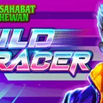 Wild Racer 100 Kontrol Simpel Tapi Butuh Skill Tinggi