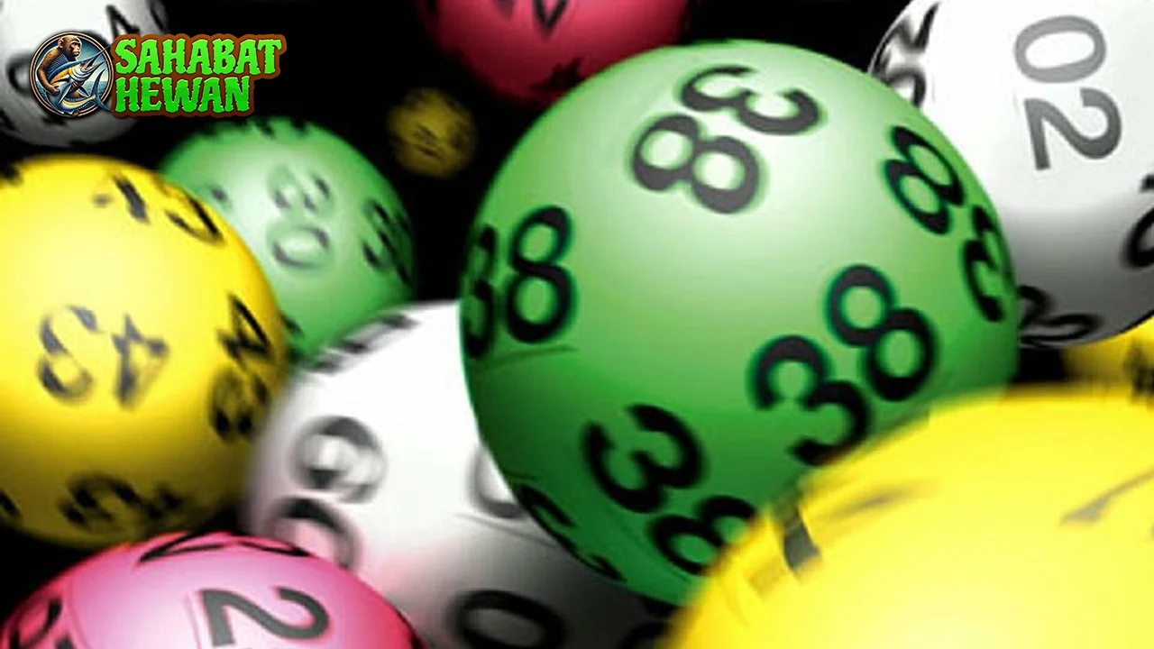 Pecah 22 Data Togel Online dan Kontroversi