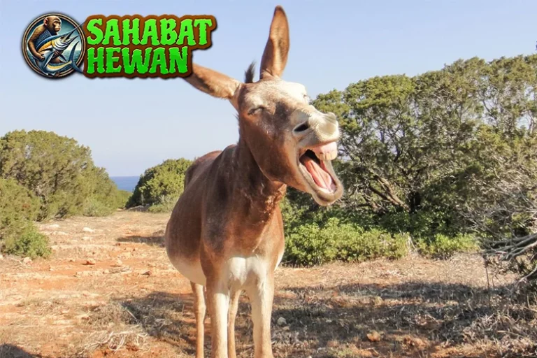 Kisah 4 Inspiratif Keledai yang Menyelamatkan Desa